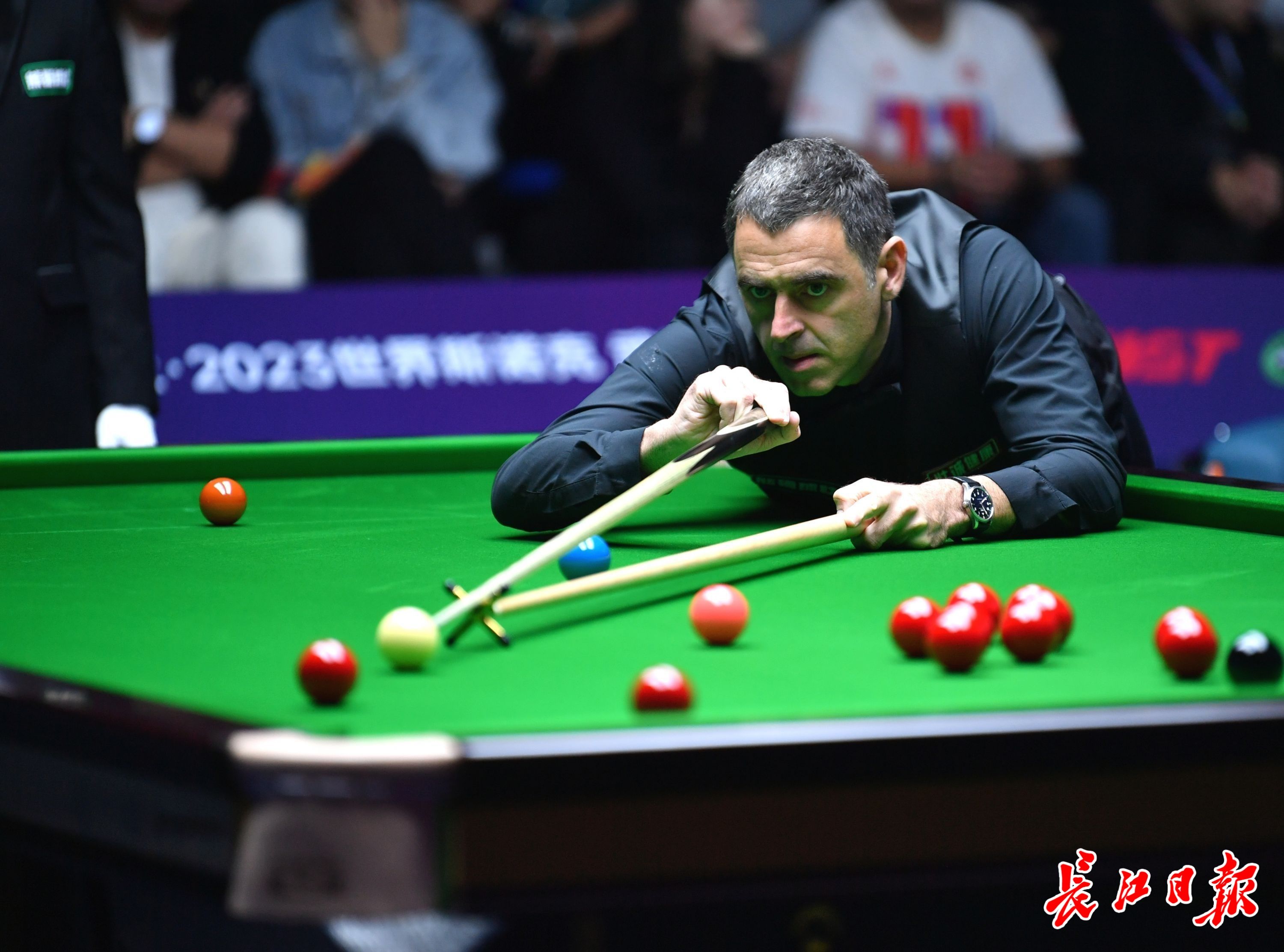 被迫暂停 被迫暂停